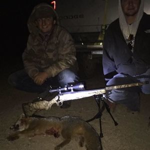 Meet your Posher, Jack